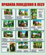Безопасность в лесу
