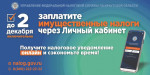 2 декабря — срок уплаты имущественных налогов для физических лиц