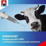 Почему важна вакцинация домашних и сельскохозяйственных животных