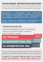 информация по конопле